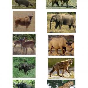 Spoor Guide pictures Pg1